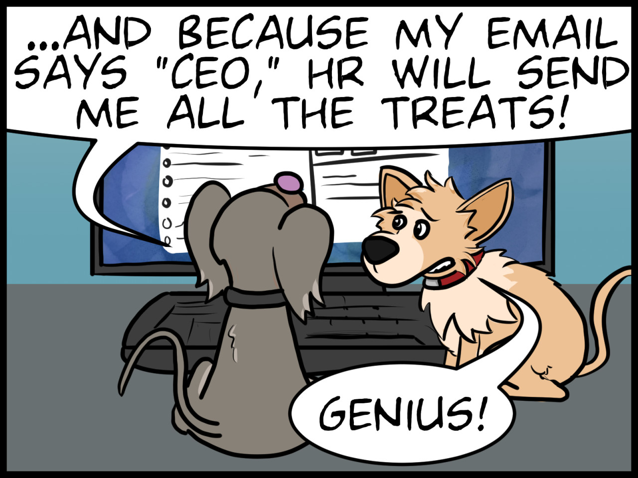 This is a Test Blog